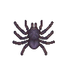 ACWW_Tarantula.png